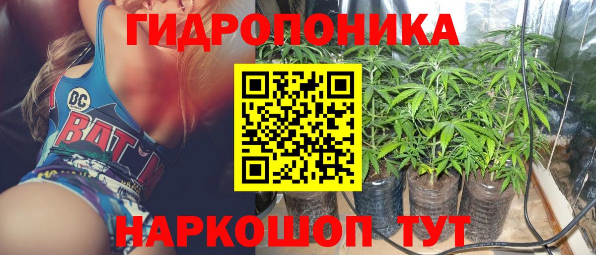 Бошки Шишки Amnesia Губкин